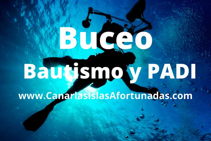 Mejores Centros de Bautismo de Buceo y Cursos PADI en Canarias