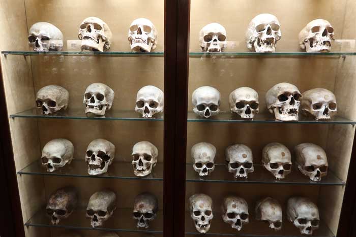 Cráneos del Museo Canario en Las Palmas de Gran Canaria