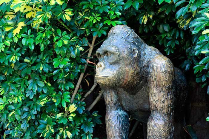 Monumento de Gorila en el Loro Parque