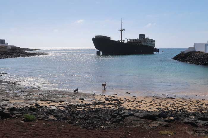 Barco Telamon en Arrecife