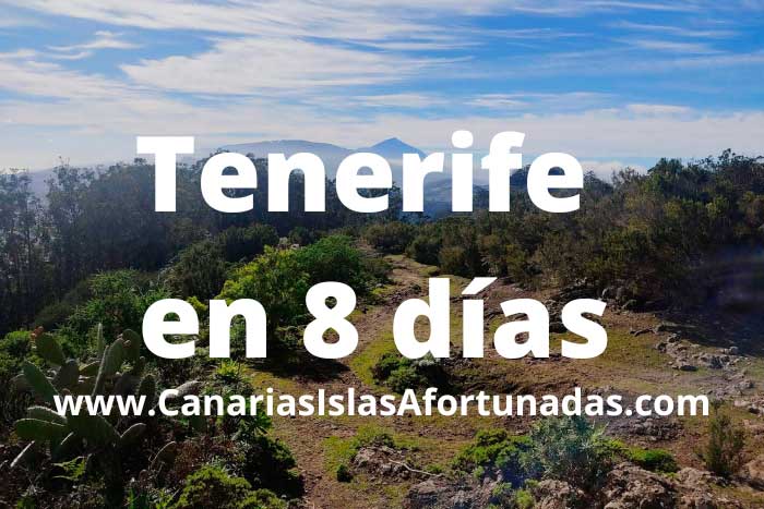 Qué ver y hacer en Tenerife en 8 días